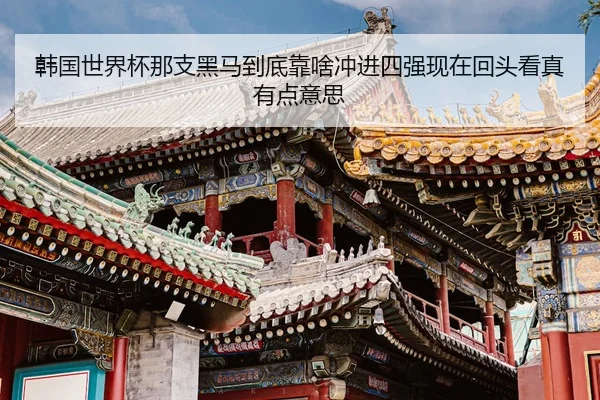 han-guo-shi-jie-bei-na-zhi-hei-ma-dao-di-kao-sha-chong-jin-si-qiang-xian-zai-hui-tou-kan-zhen-you-dian-yi-si-2-489.jpg