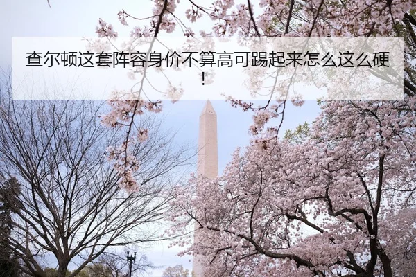 cha-er-dun-zhe-tao-zhen-rong-shen-jia-bu-suan-gao-ke-ti-qi-lai-zen-me-zhe-me-ying-2-469.jpg